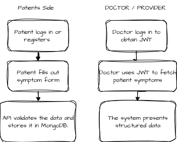 API flowchart showing patient submission and provider review process